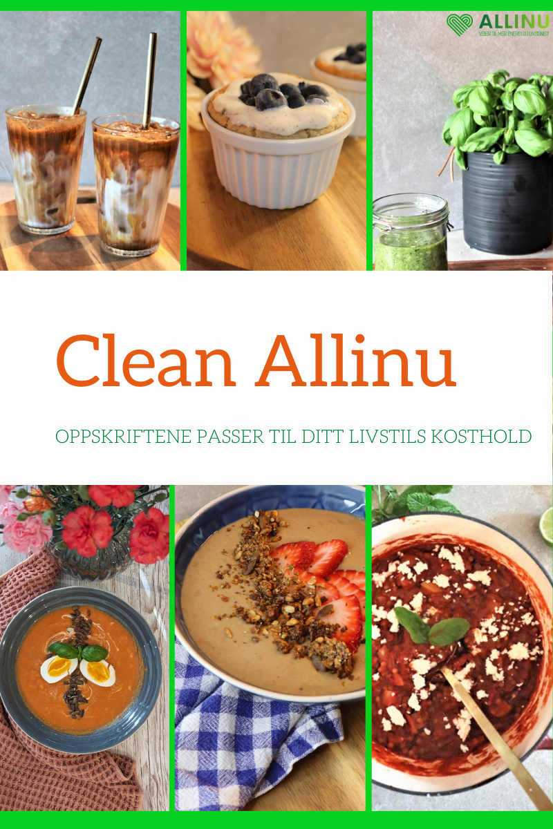 Oppskrift hefte Clean Allinu